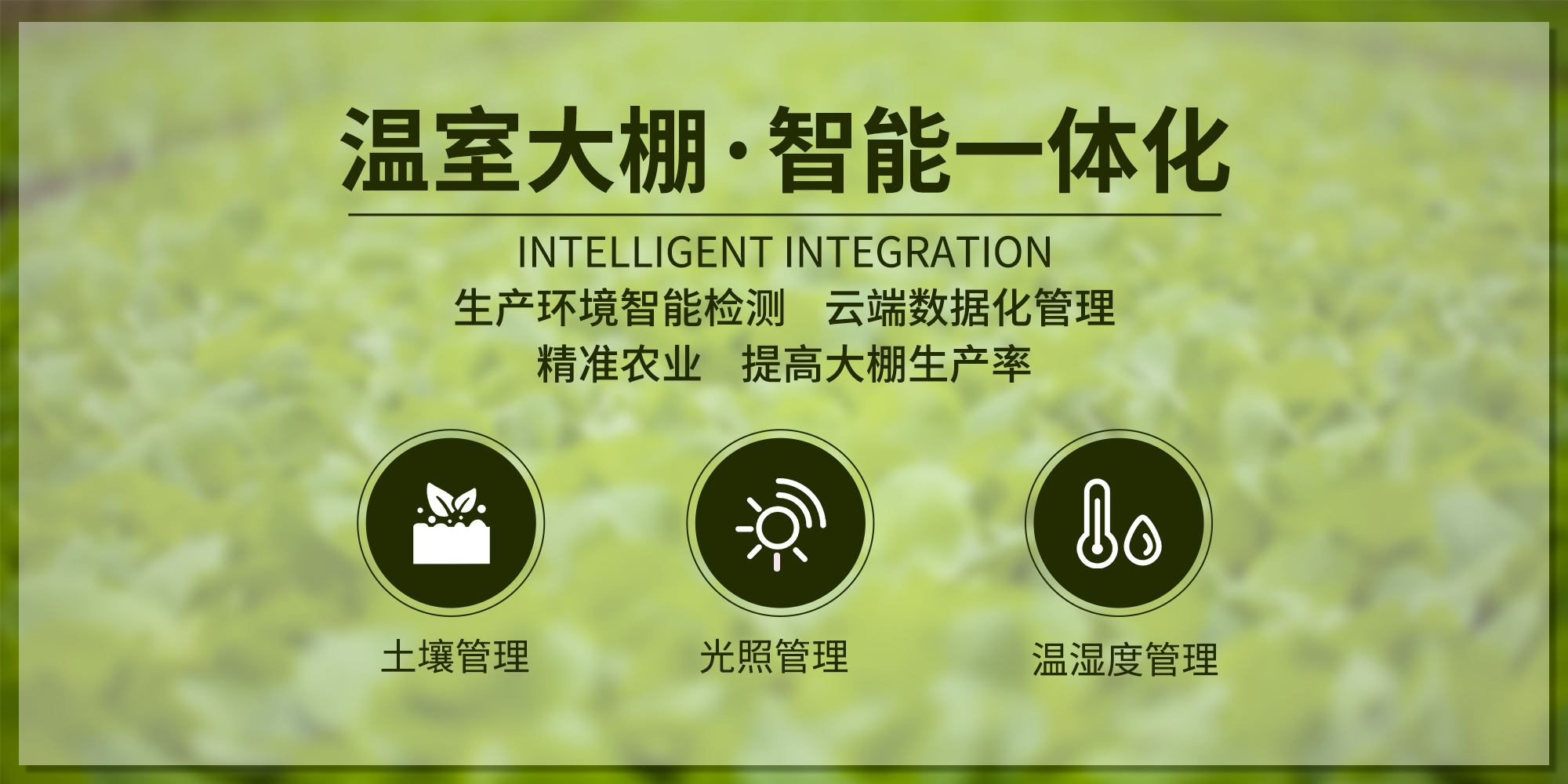 智慧農(nóng)業(yè)系統(tǒng)